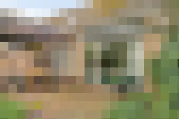 Spreeuwenhof 50 Varsseveld thumbnail 24