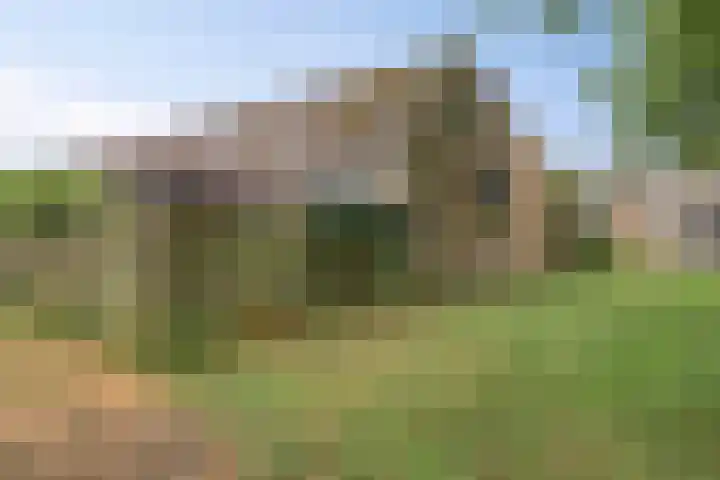 Spreeuwenhof 50 Varsseveld thumbnail 25