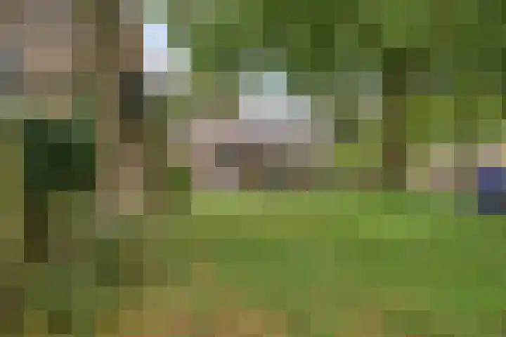 Spreeuwenhof 50 Varsseveld thumbnail 26
