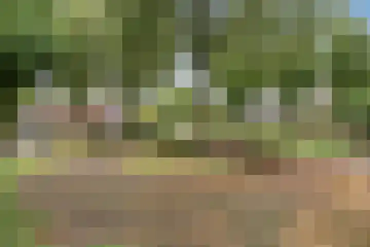 Spreeuwenhof 50 Varsseveld thumbnail 27