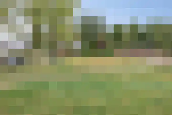 Spreeuwenhof 50 Varsseveld thumbnail 28