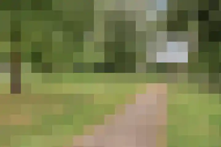 Spreeuwenhof 50 Varsseveld thumbnail 29
