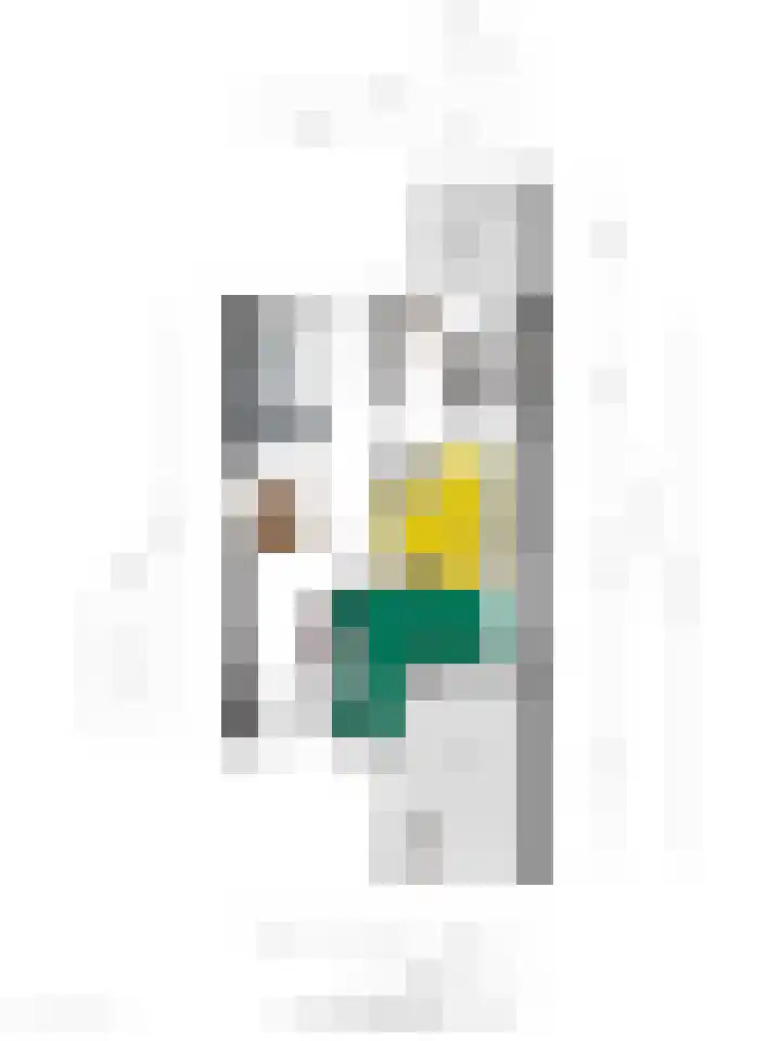 Spreeuwenhof 50 Varsseveld thumbnail 30