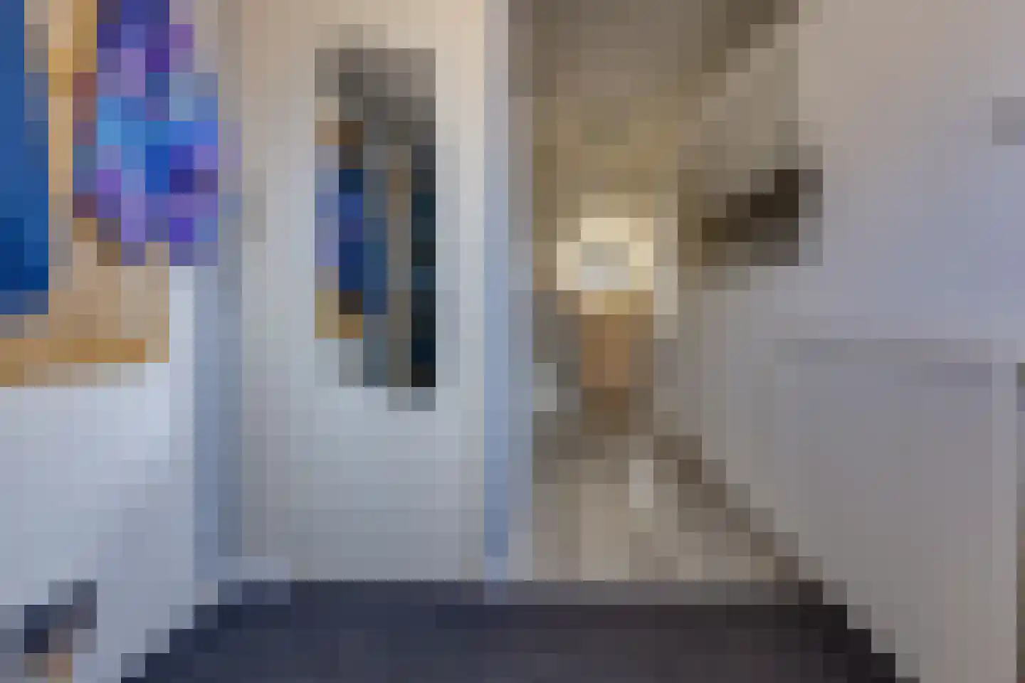 Spreeuwenhof 8 Stadskanaal thumbnail 11