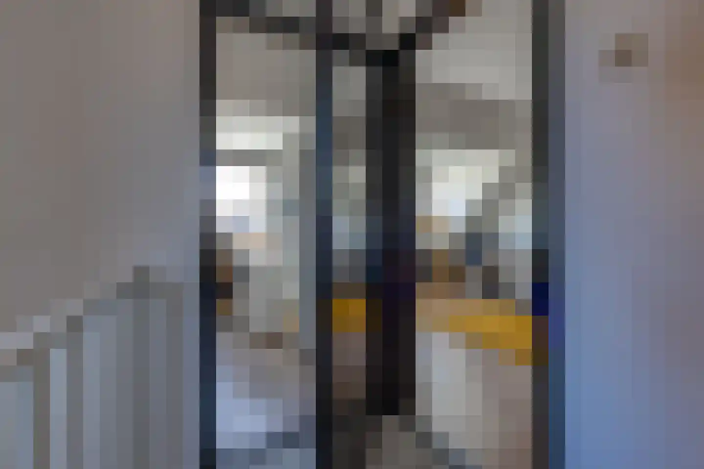 Spreeuwenhof 8 Stadskanaal thumbnail 28