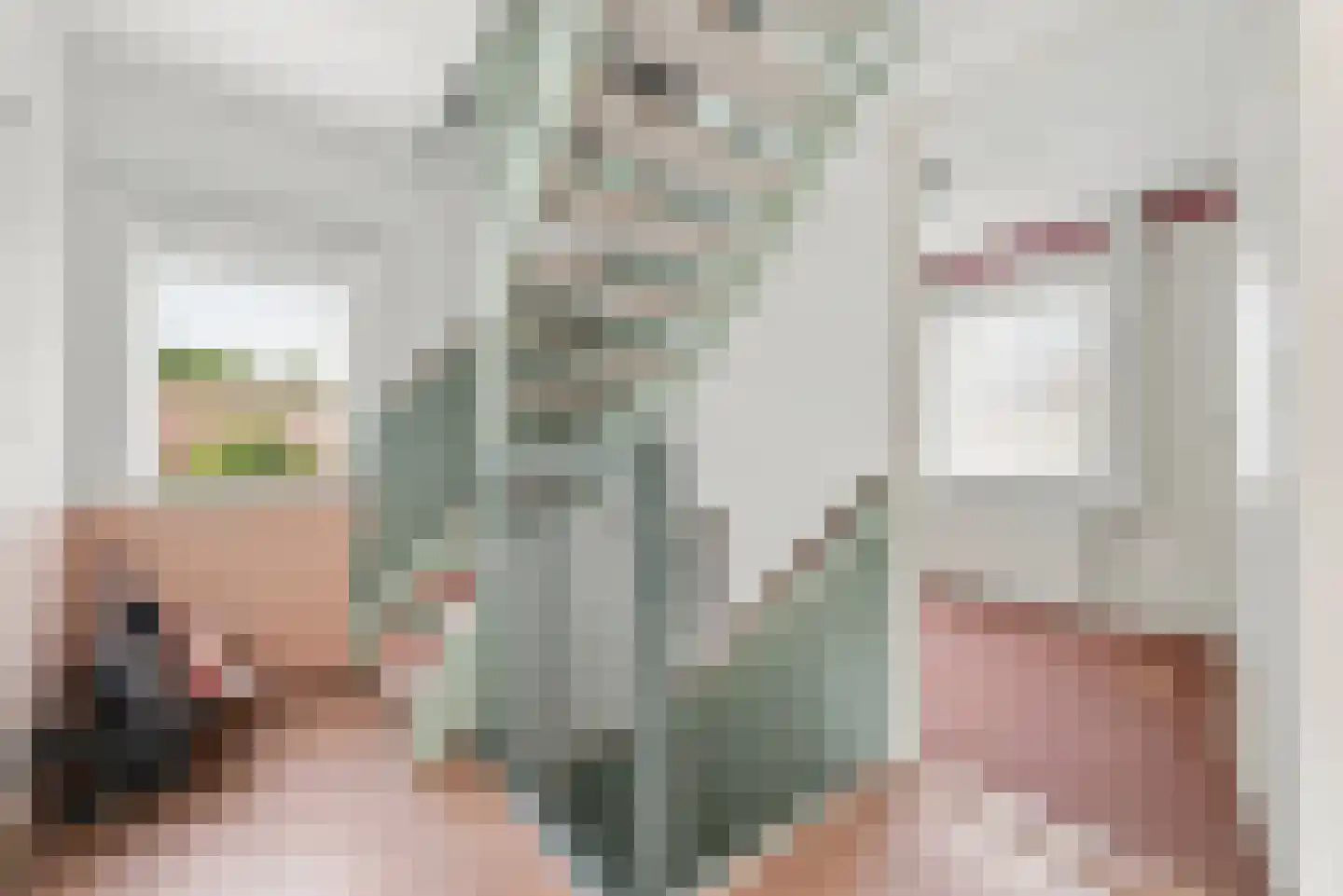 Spreeuwenhof 9 Domburg thumbnail 17