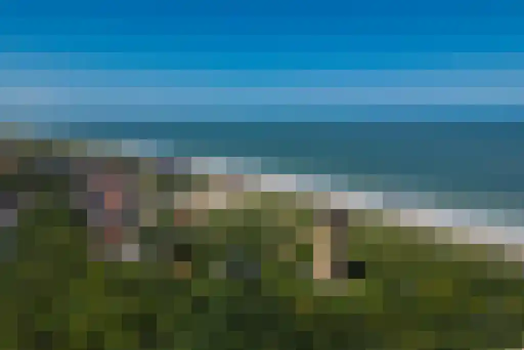 Spreeuwenhof 9 Domburg thumbnail 37