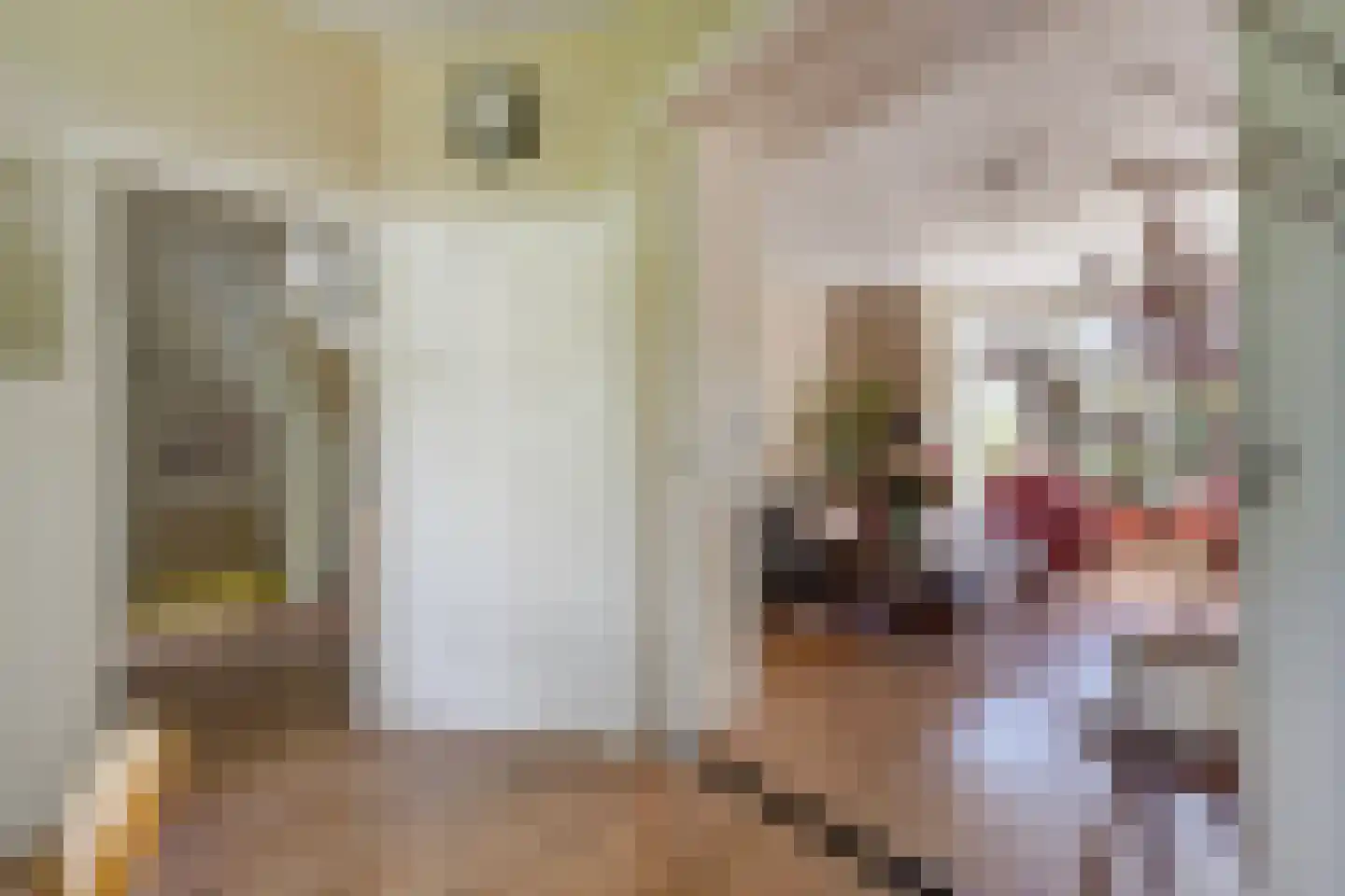 Spreeuwenlaan 14 Den Haag thumbnail 10