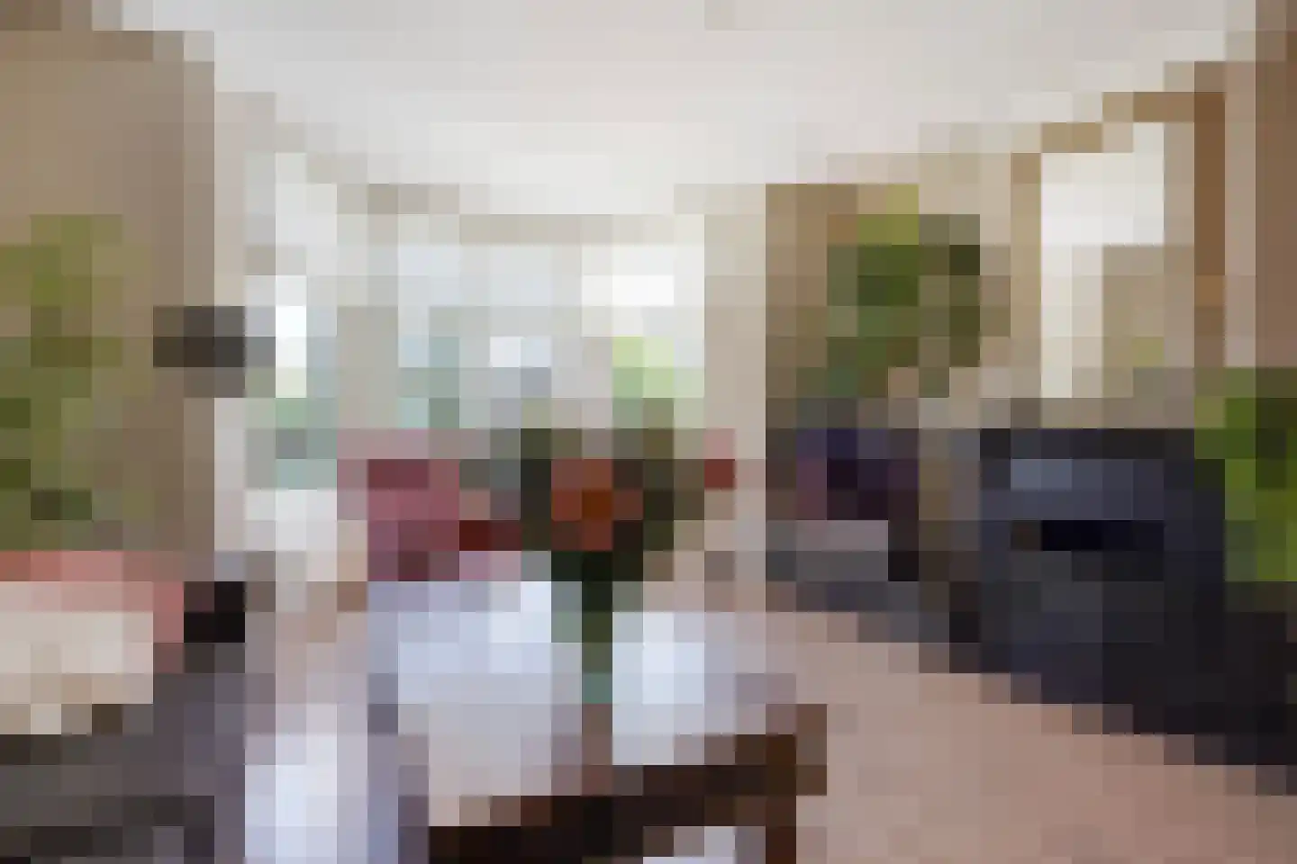 Spreeuwenlaan 14 Den Haag thumbnail 12