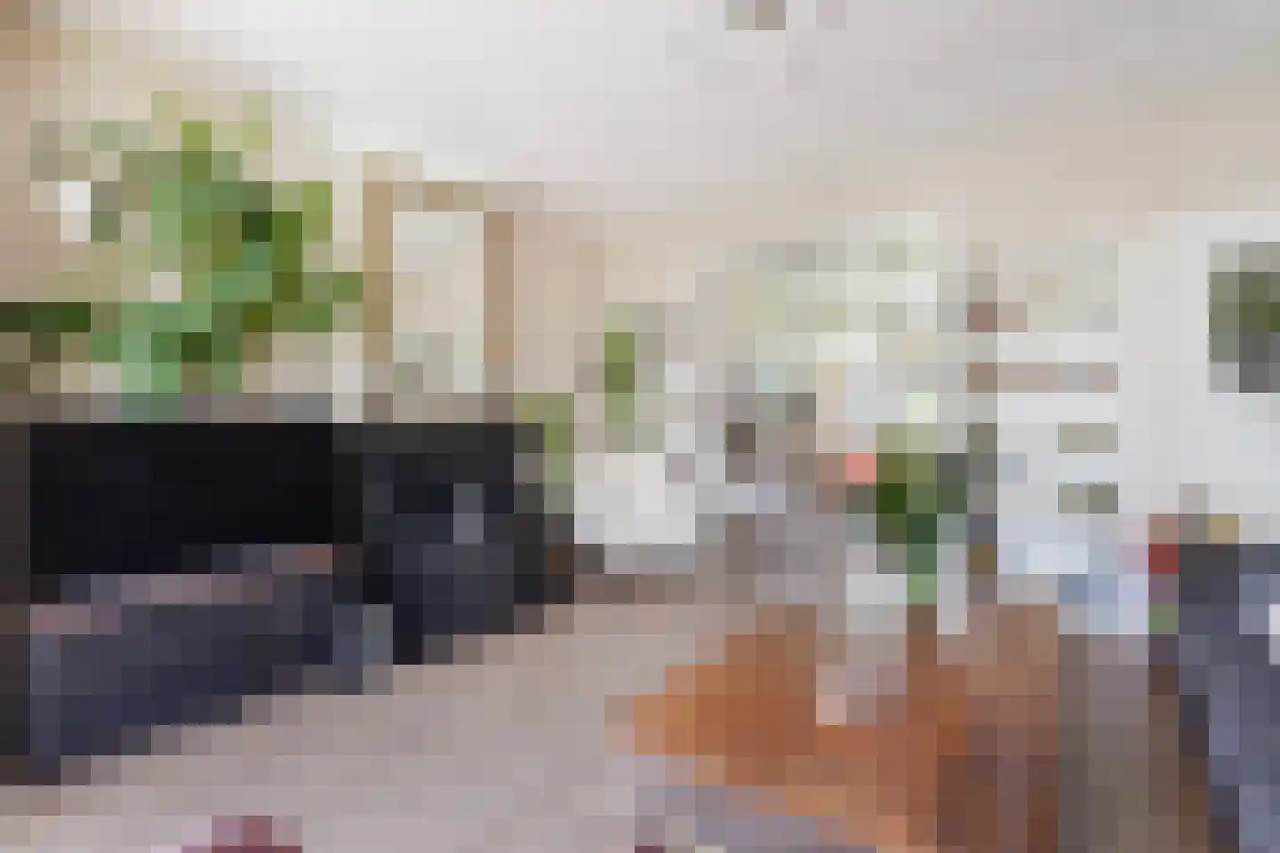 Spreeuwenlaan 14 Den Haag thumbnail 14