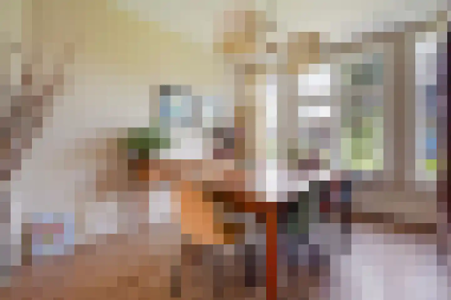 Spreeuwenlaan 14 Den Haag thumbnail 17