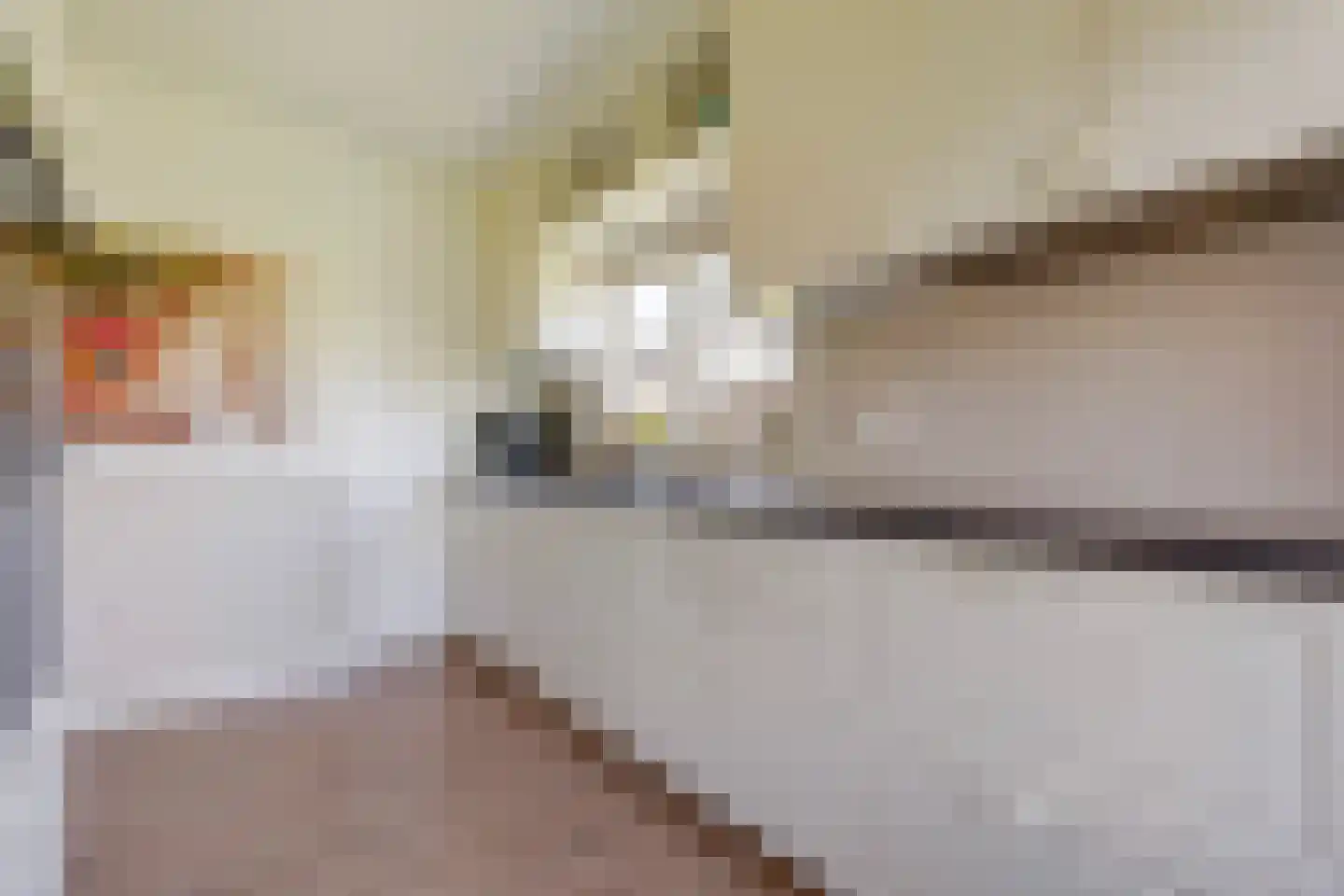 Spreeuwenlaan 14 Den Haag thumbnail 19