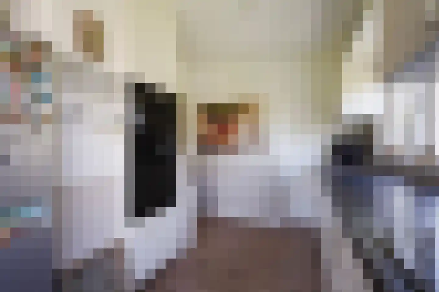 Spreeuwenlaan 14 Den Haag thumbnail 20