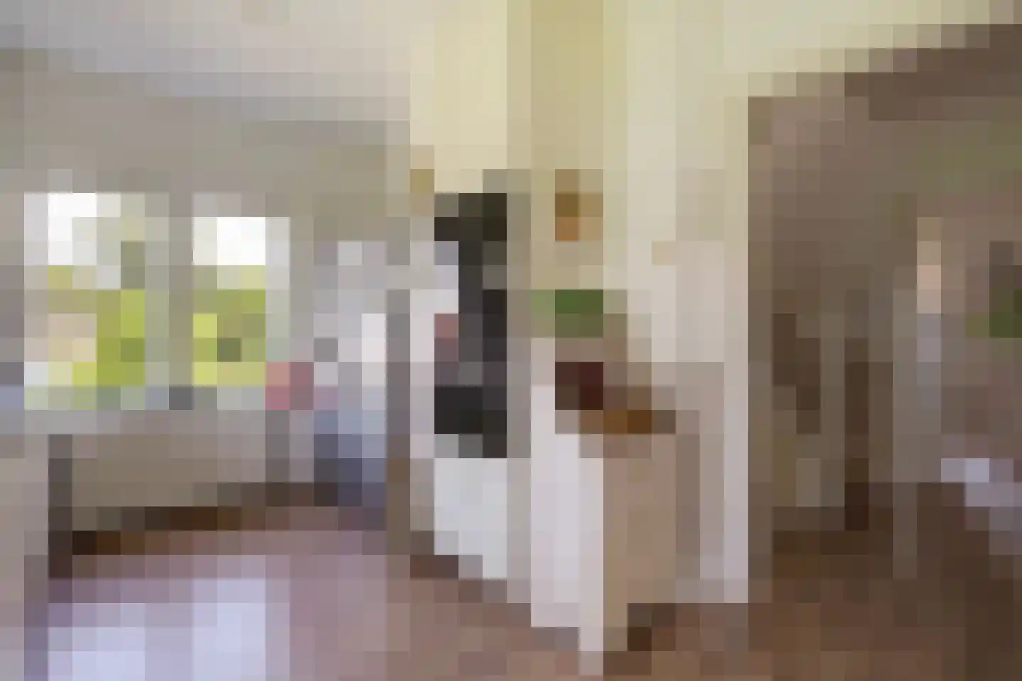Spreeuwenlaan 14 Den Haag thumbnail 21