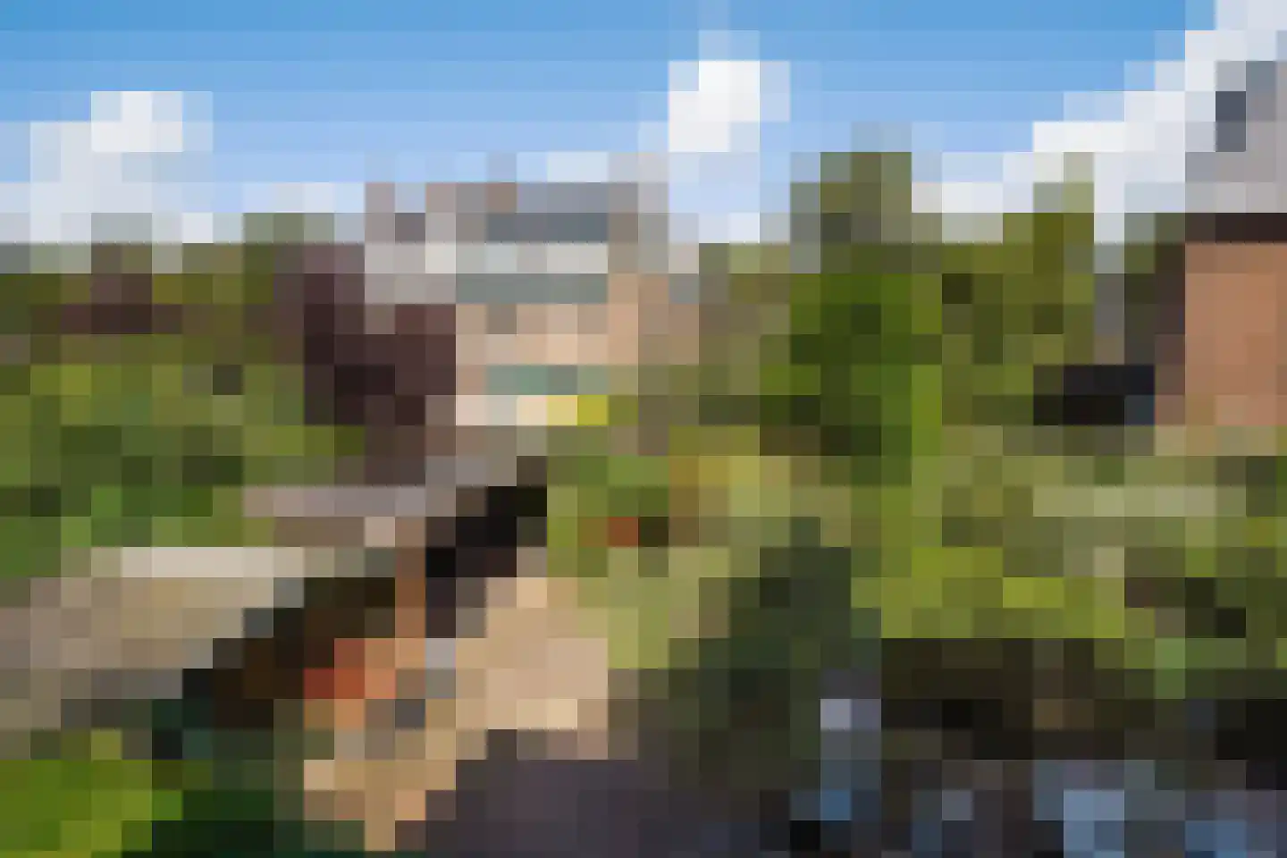 Spreeuwenlaan 14 Den Haag thumbnail 22