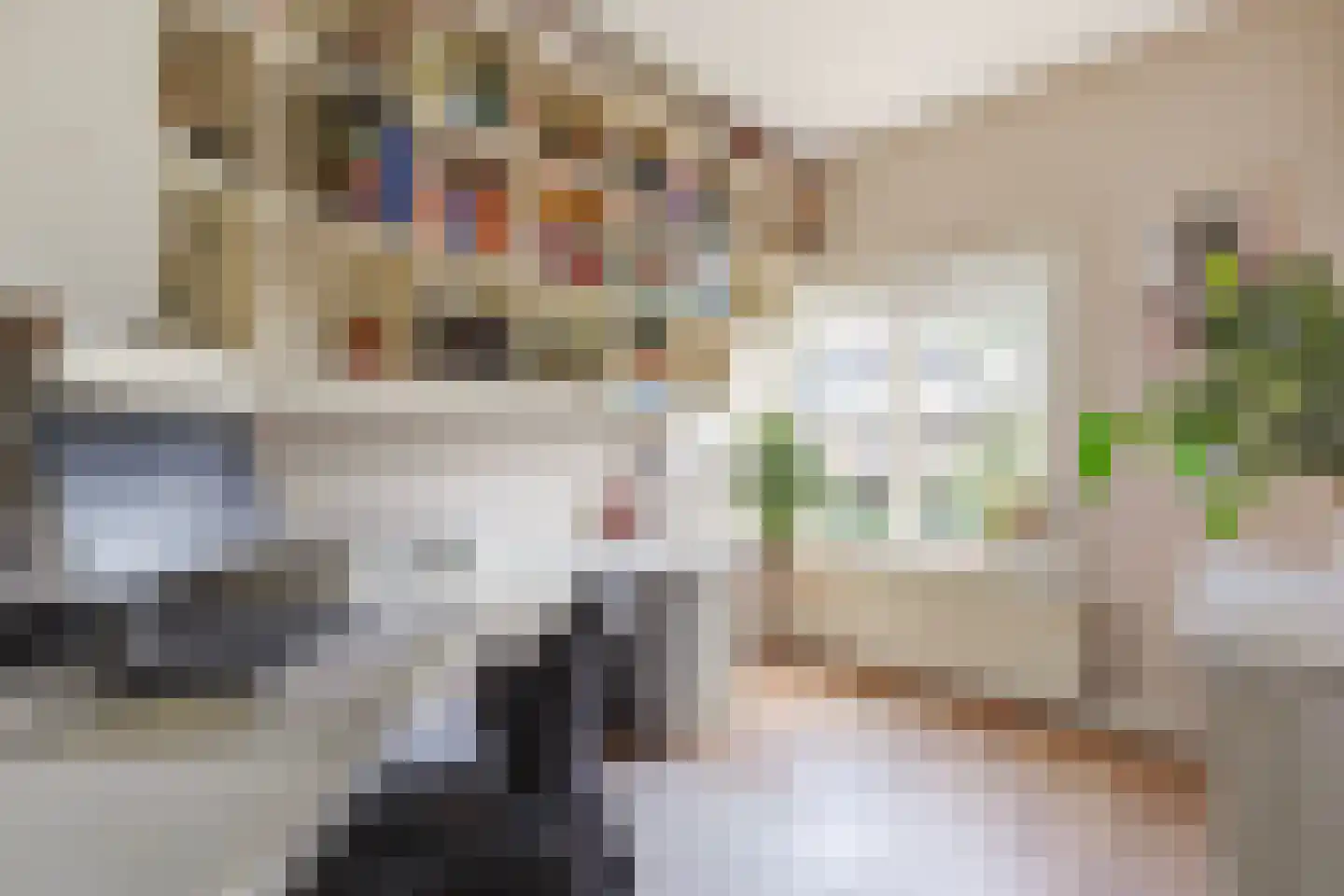 Spreeuwenlaan 14 Den Haag thumbnail 36