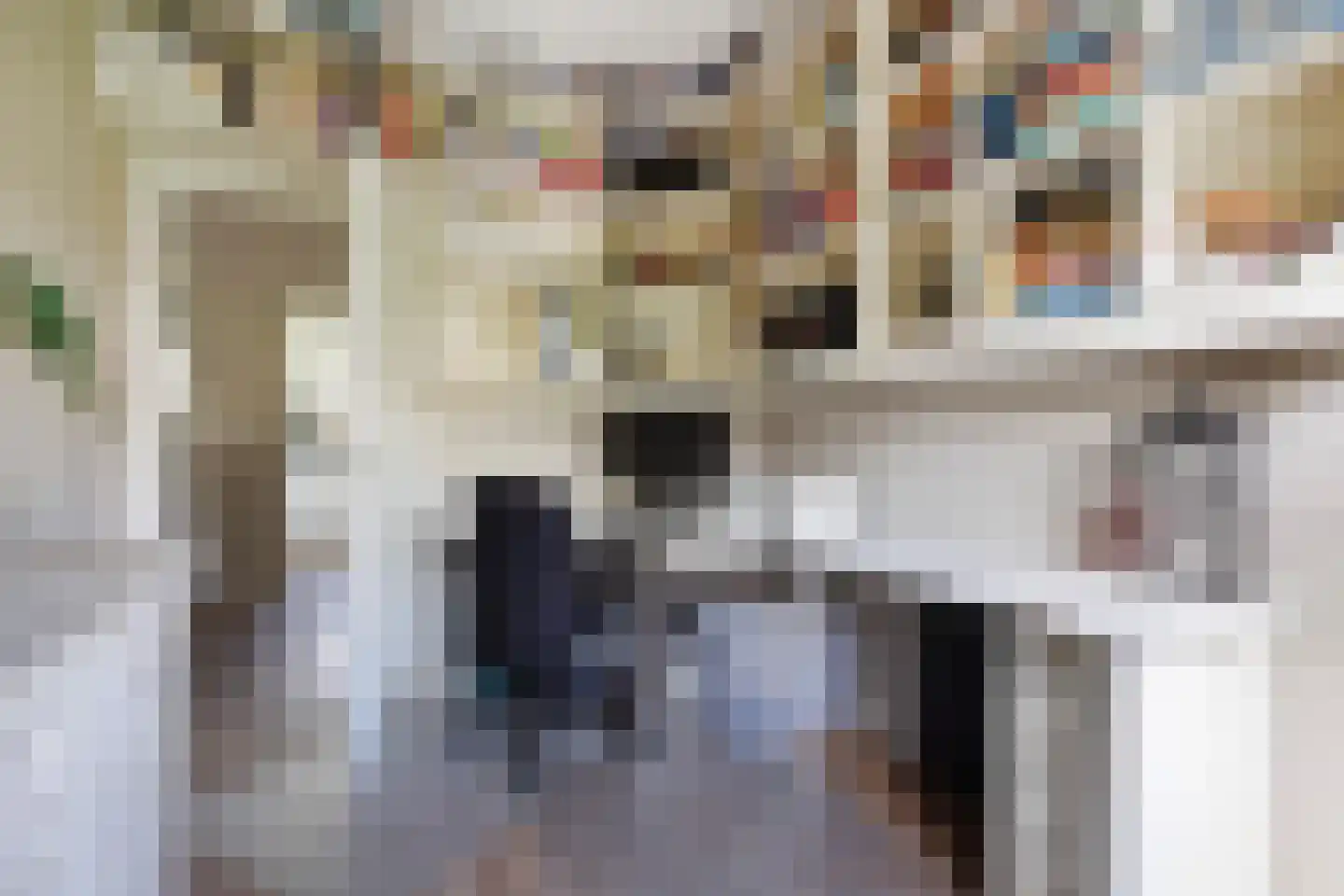Spreeuwenlaan 14 Den Haag thumbnail 37