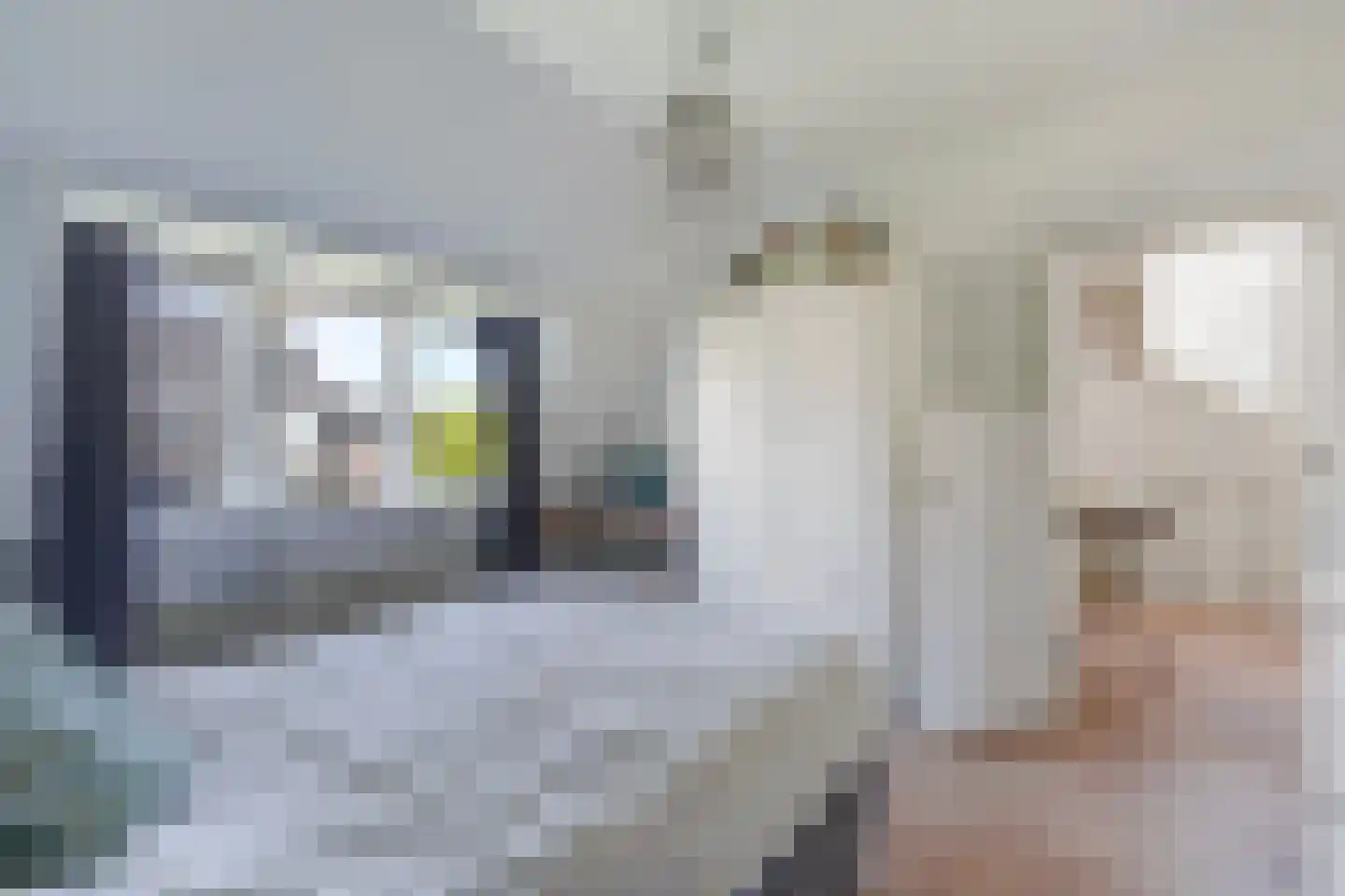 Spreeuwenlaan 14 Den Haag thumbnail 38