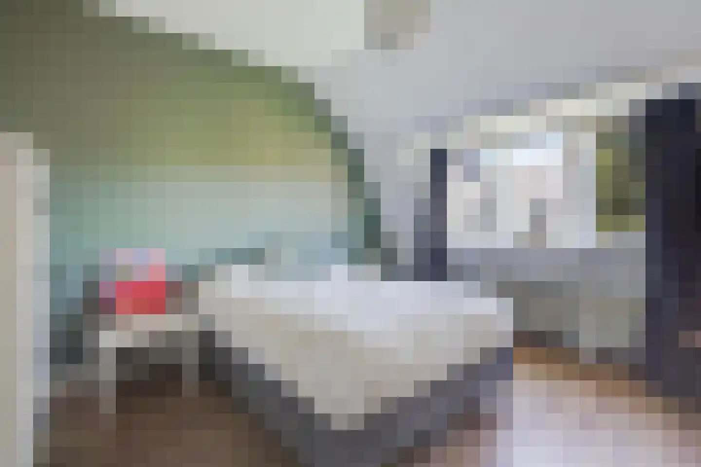 Spreeuwenlaan 14 Den Haag thumbnail 39