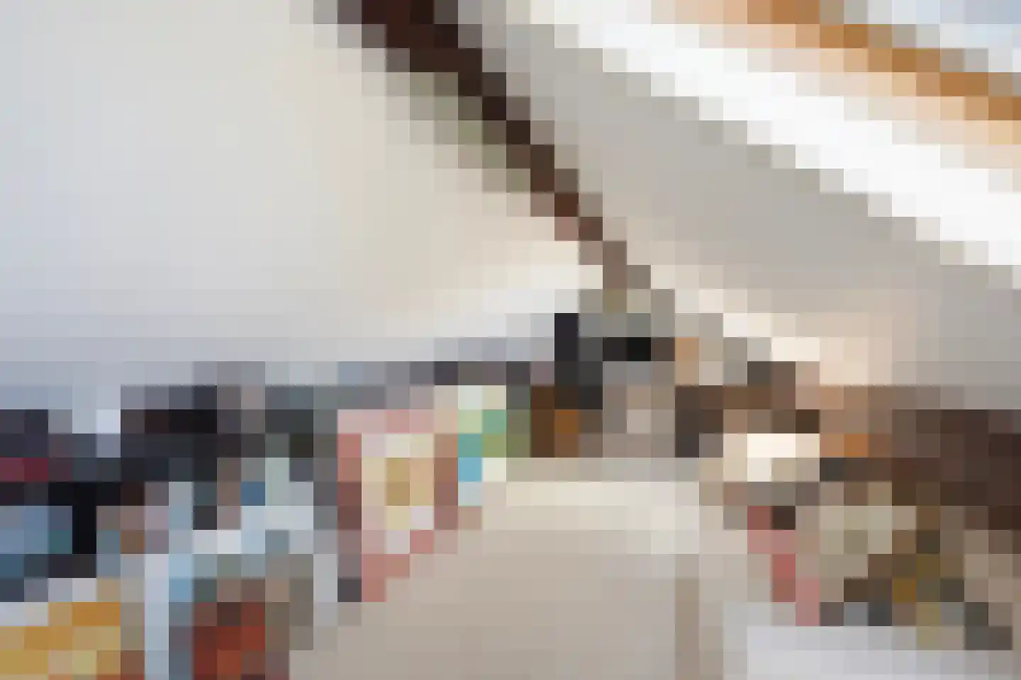 Spreeuwenlaan 14 Den Haag thumbnail 43