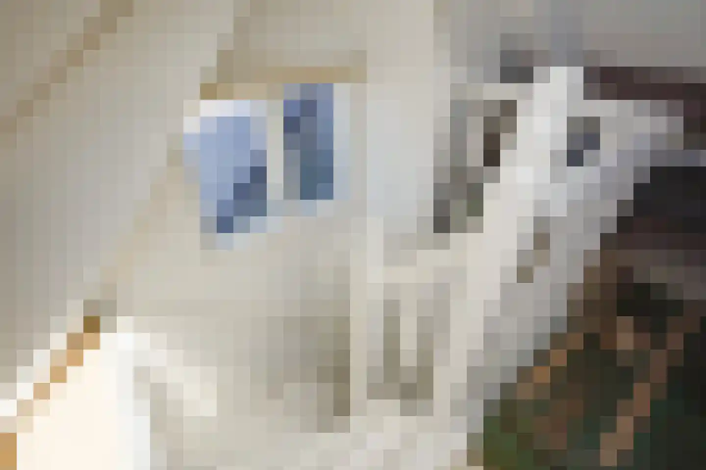 Spreeuwenlaan 14 Den Haag thumbnail 45