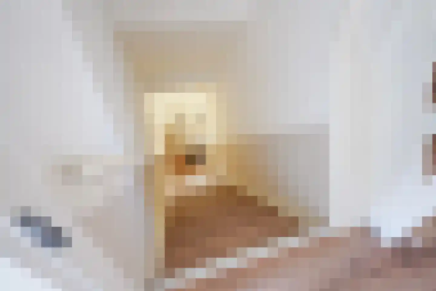 Spreeuwenlaan 14 Den Haag thumbnail 46