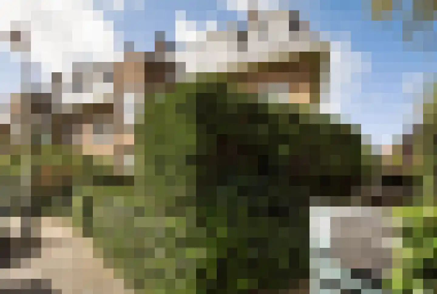 Spreeuwenlaan 14 Den Haag thumbnail 5