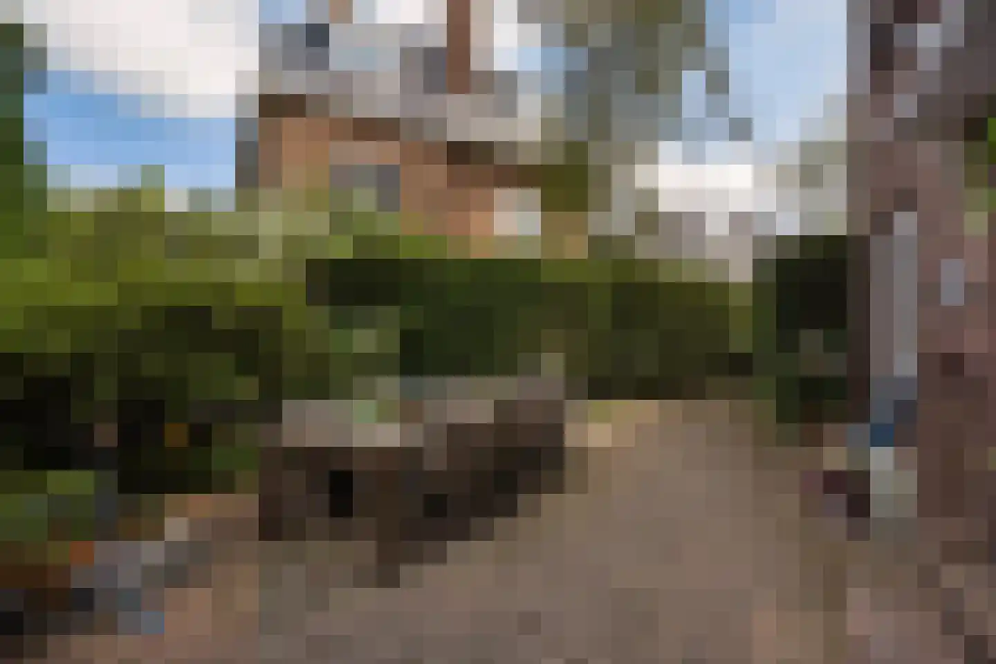 Spreeuwenlaan 14 Den Haag thumbnail 52