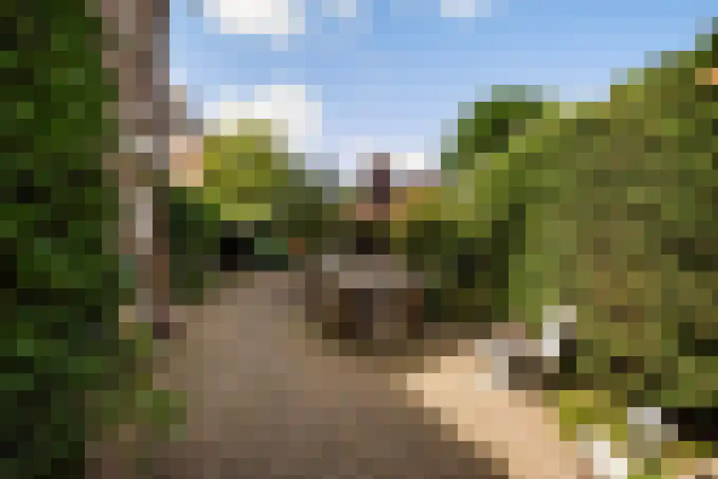 Spreeuwenlaan 14 Den Haag thumbnail 6