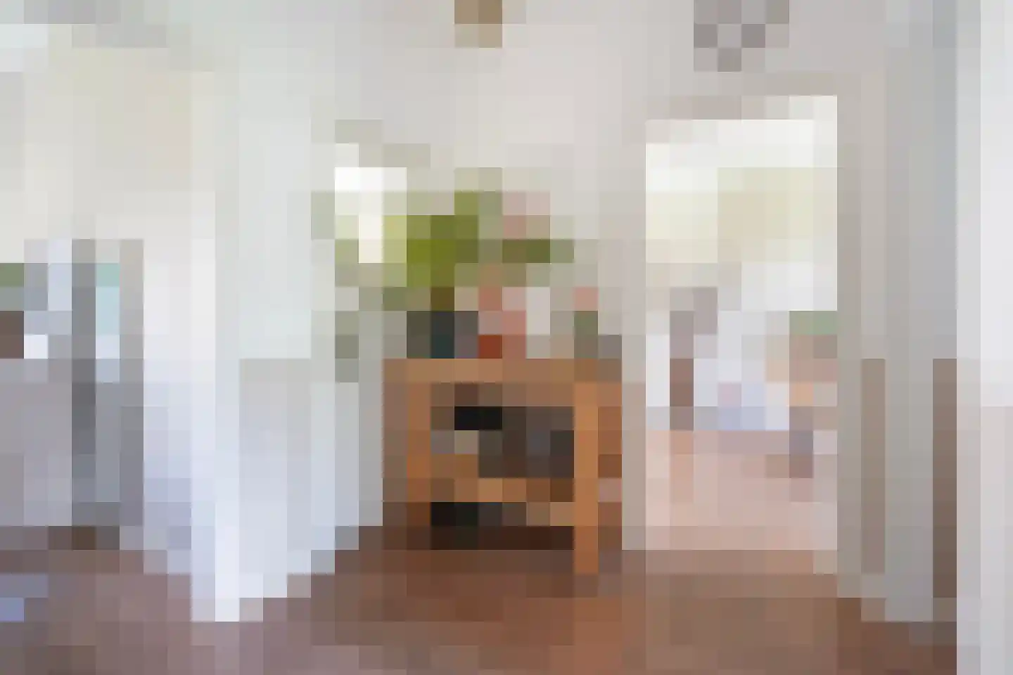 Spreeuwenlaan 14 Den Haag thumbnail 8
