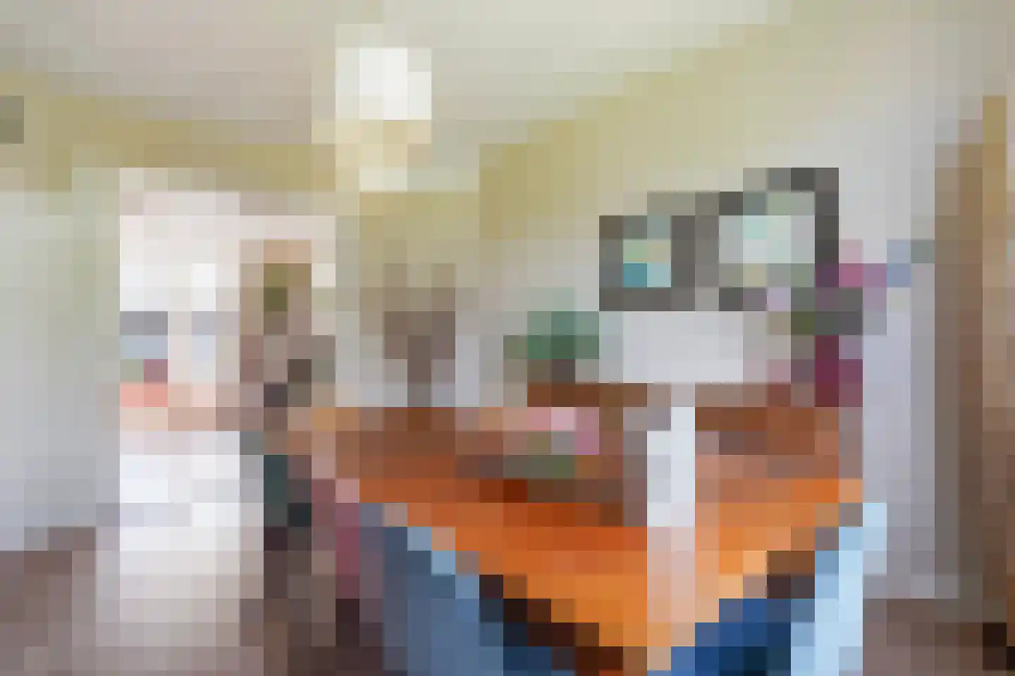 Spreeuwenlaan 14 Den Haag thumbnail 9