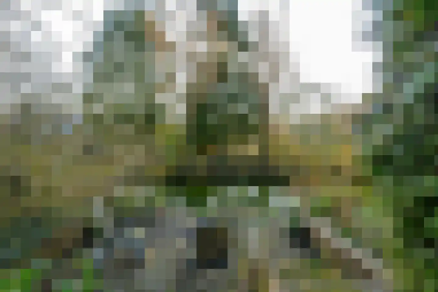 Spreeuwenlaan 15 Schagen thumbnail 14