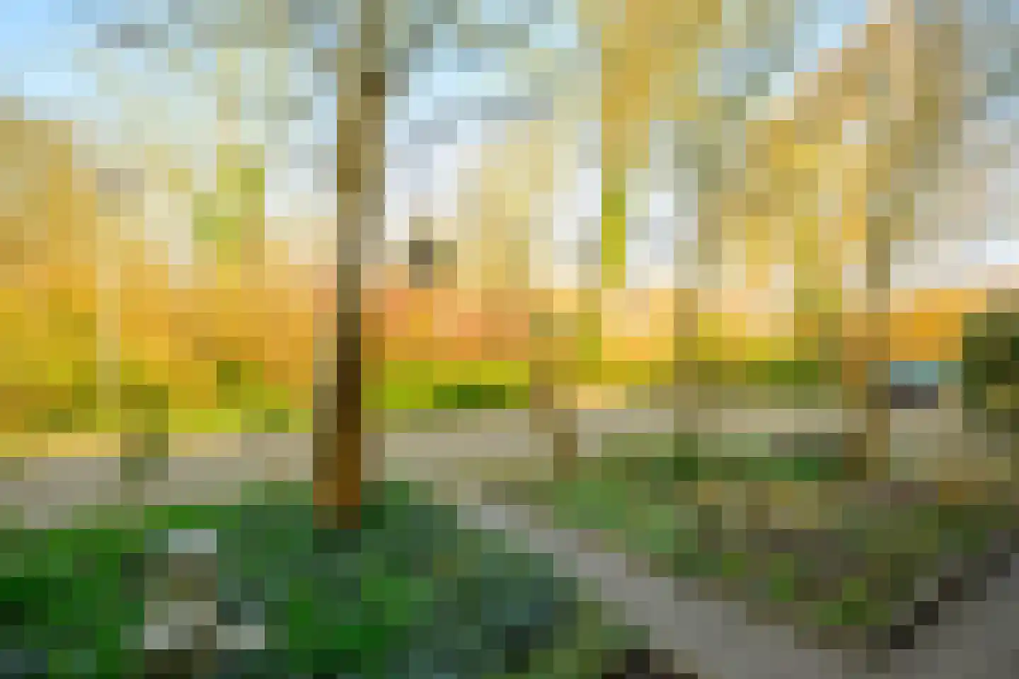 Spreeuwenlaan 15 Schagen thumbnail 32