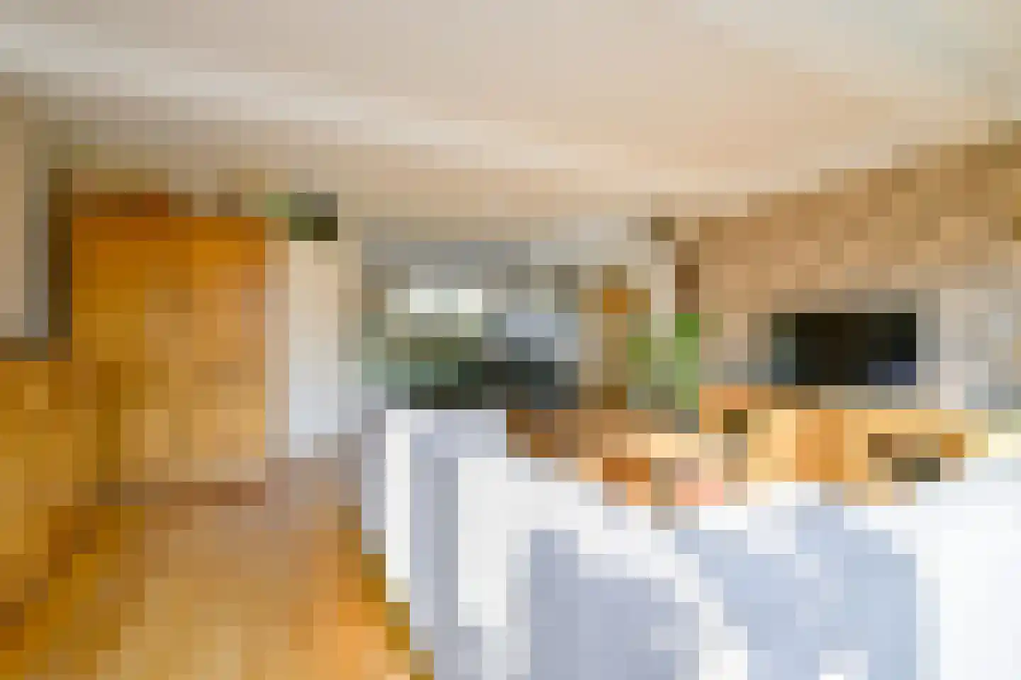 Spreeuwenlaan 15 Schagen thumbnail 6
