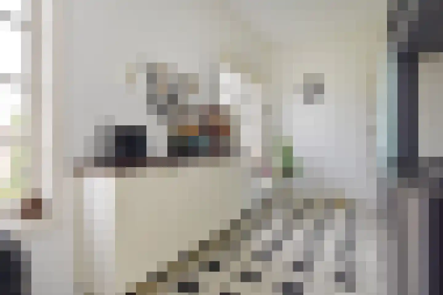 Spreeuwenlaan 21 Den Haag thumbnail 16