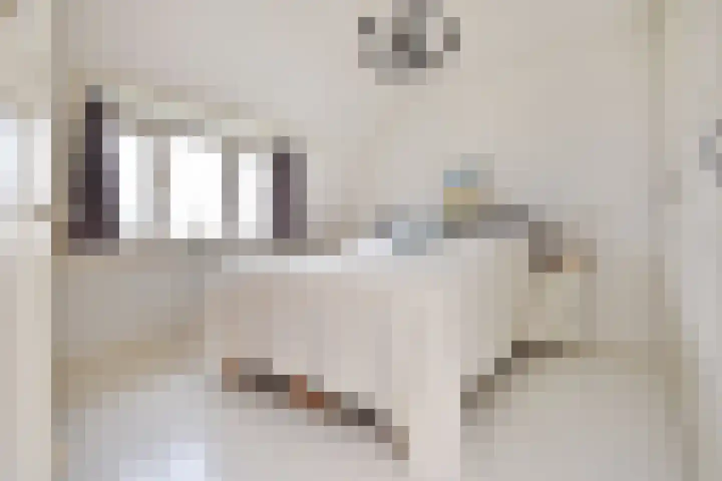 Spreeuwenlaan 21 Den Haag thumbnail 19