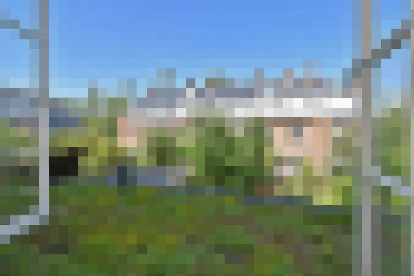 Spreeuwenlaan 21 Den Haag thumbnail 20