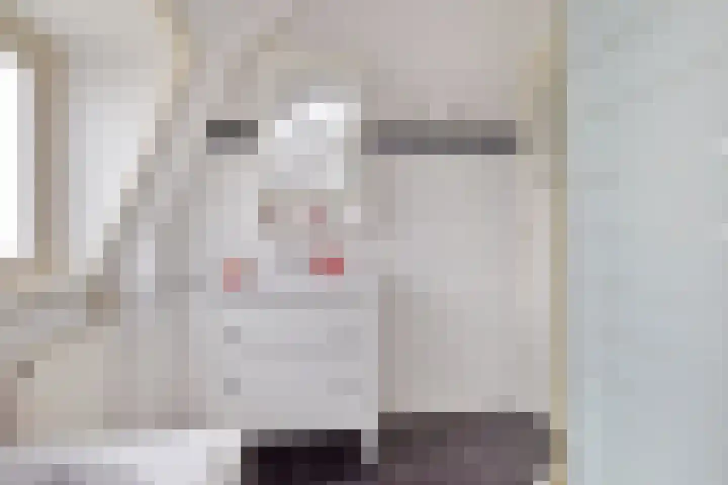 Spreeuwenlaan 21 Den Haag thumbnail 22