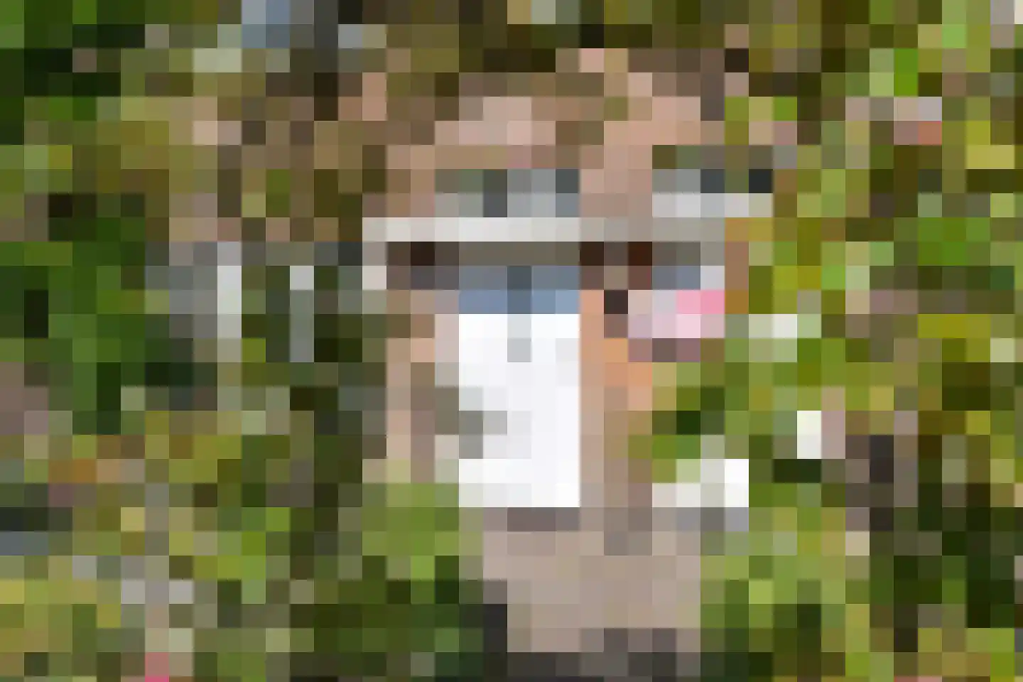 Spreeuwenlaan 21 Den Haag thumbnail 31