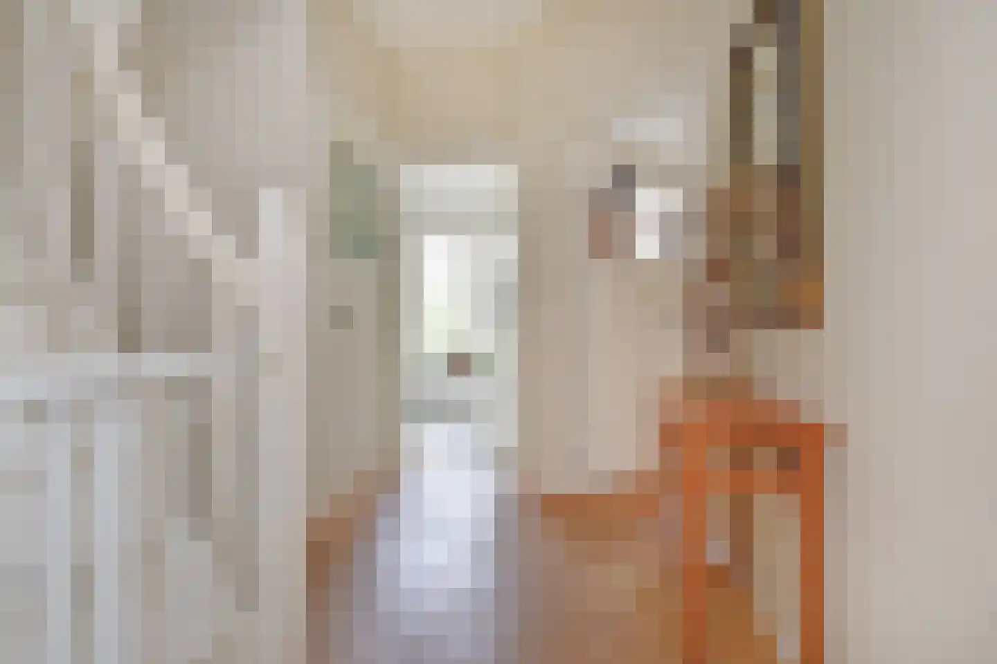 Spreeuwenlaan 21 Den Haag thumbnail 7