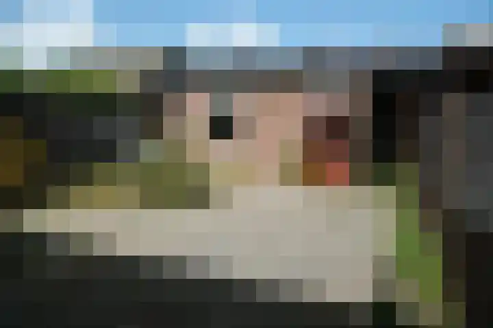 Spreeuwenlaan 21 Vuren thumbnail 14
