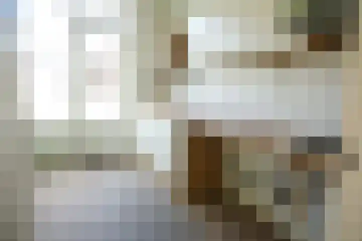 Spreeuwenlaan 21 Vuren thumbnail 5