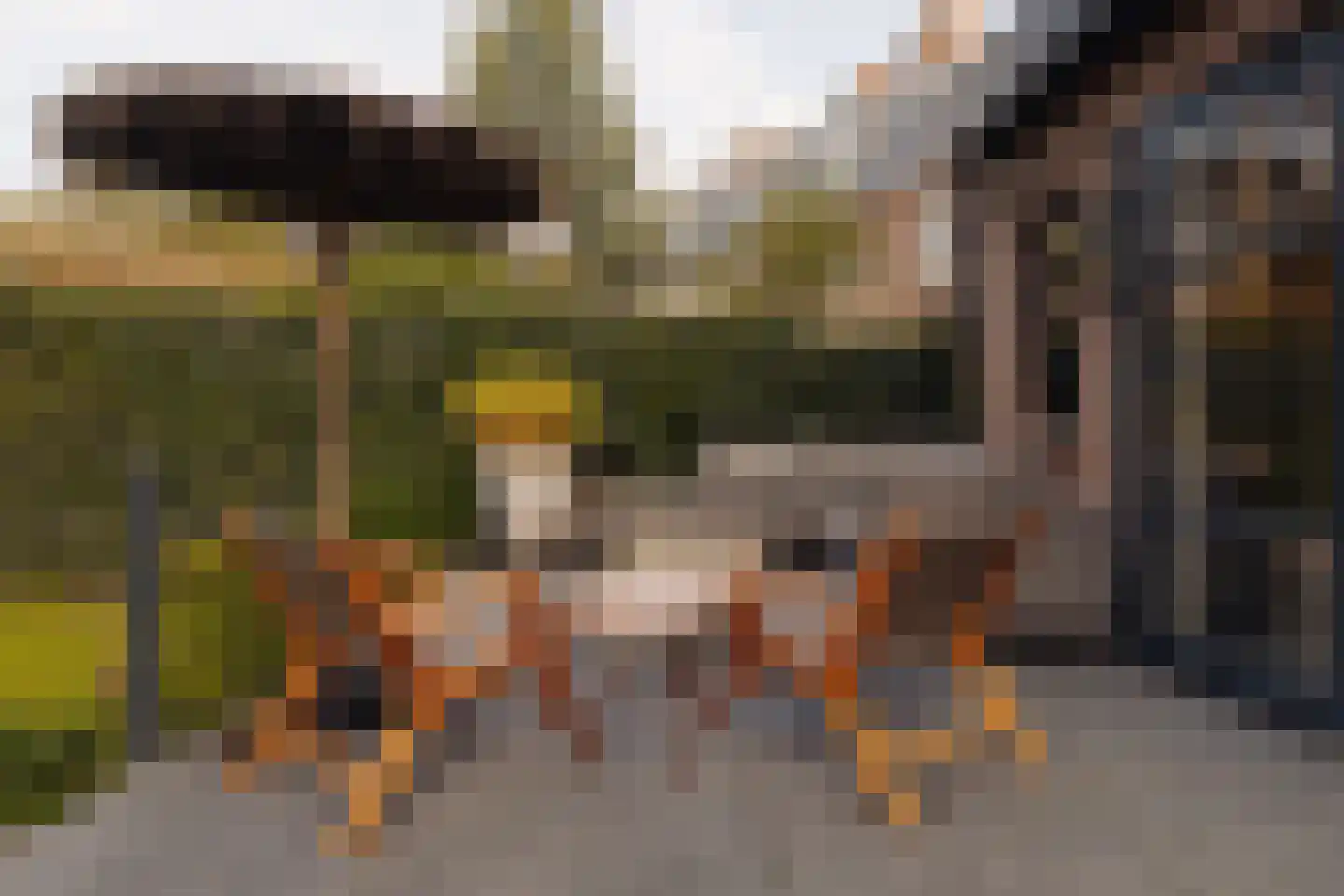 Spreeuwenlaan 30 Den Haag thumbnail 22