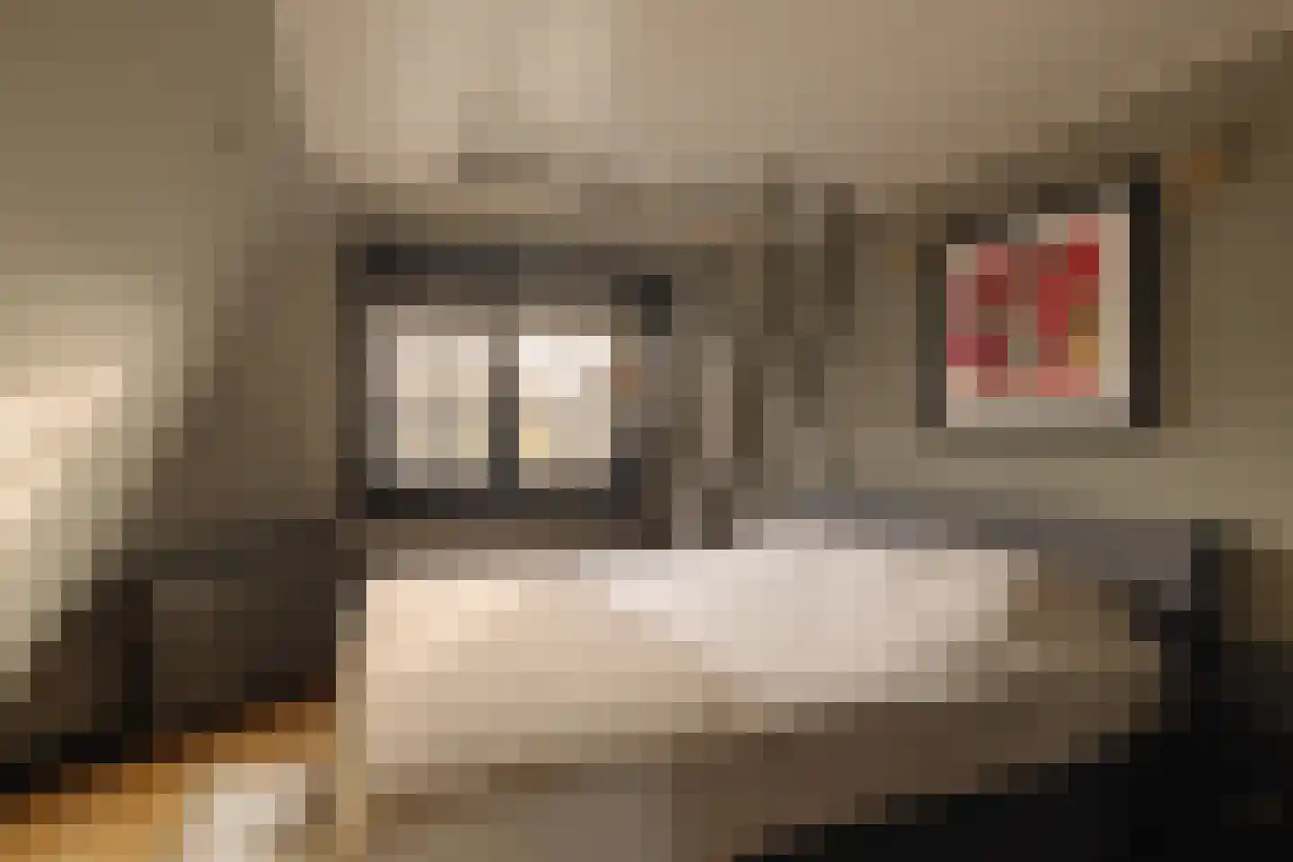 Spreeuwenlaan 30 Den Haag thumbnail 41