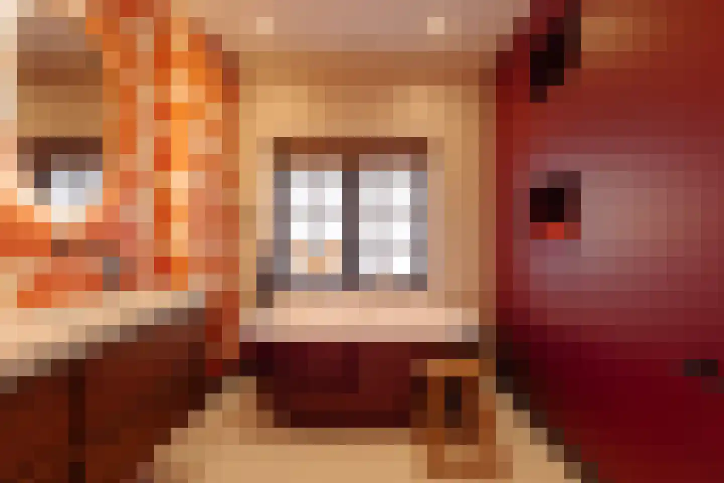 Spreeuwenlaan 30 Den Haag thumbnail 5