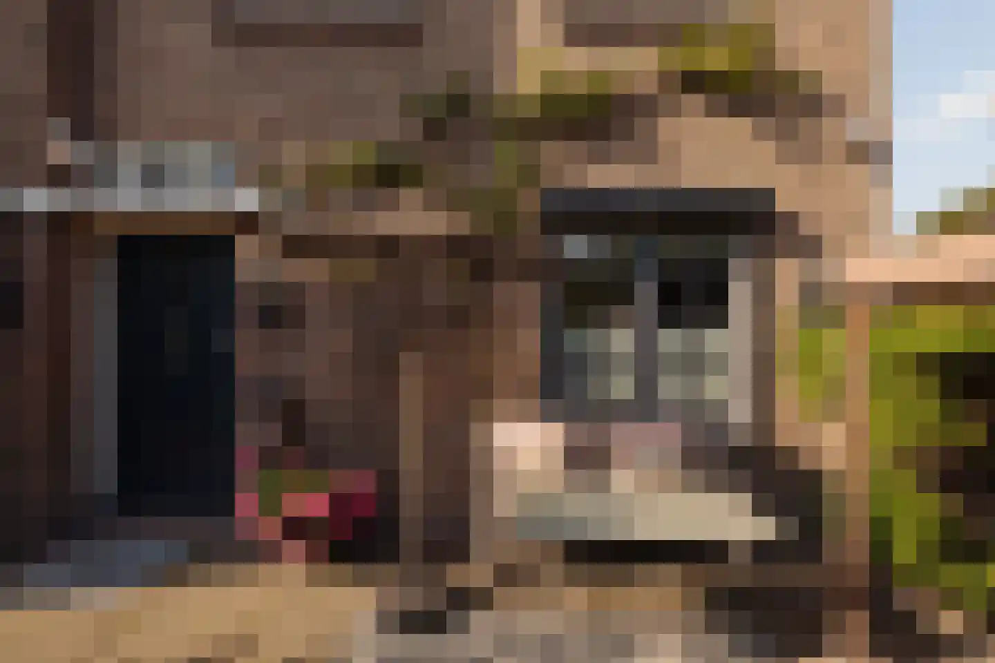 Spreeuwenlaan 30 Den Haag thumbnail 7