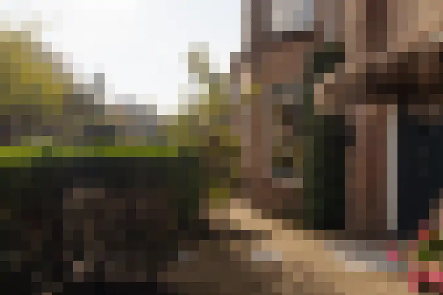Spreeuwenlaan 30 Den Haag thumbnail 8