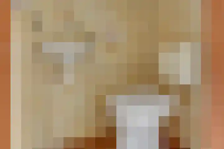 Spreeuwenlaan 47 Schagen thumbnail 13