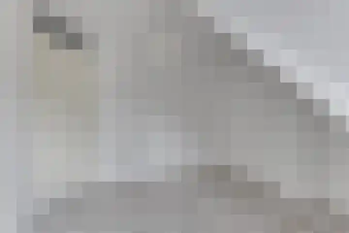 Spreeuwenlaan 47 Schagen thumbnail 18