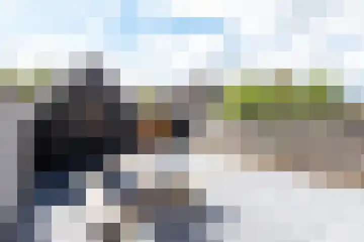 Spreeuwenlaan 47 Schagen thumbnail 24